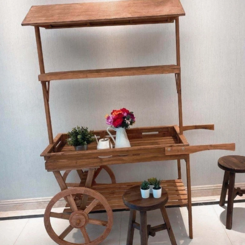 Vintage succulent flower stand, trolley greenhouse, window rack, flower shop display stand