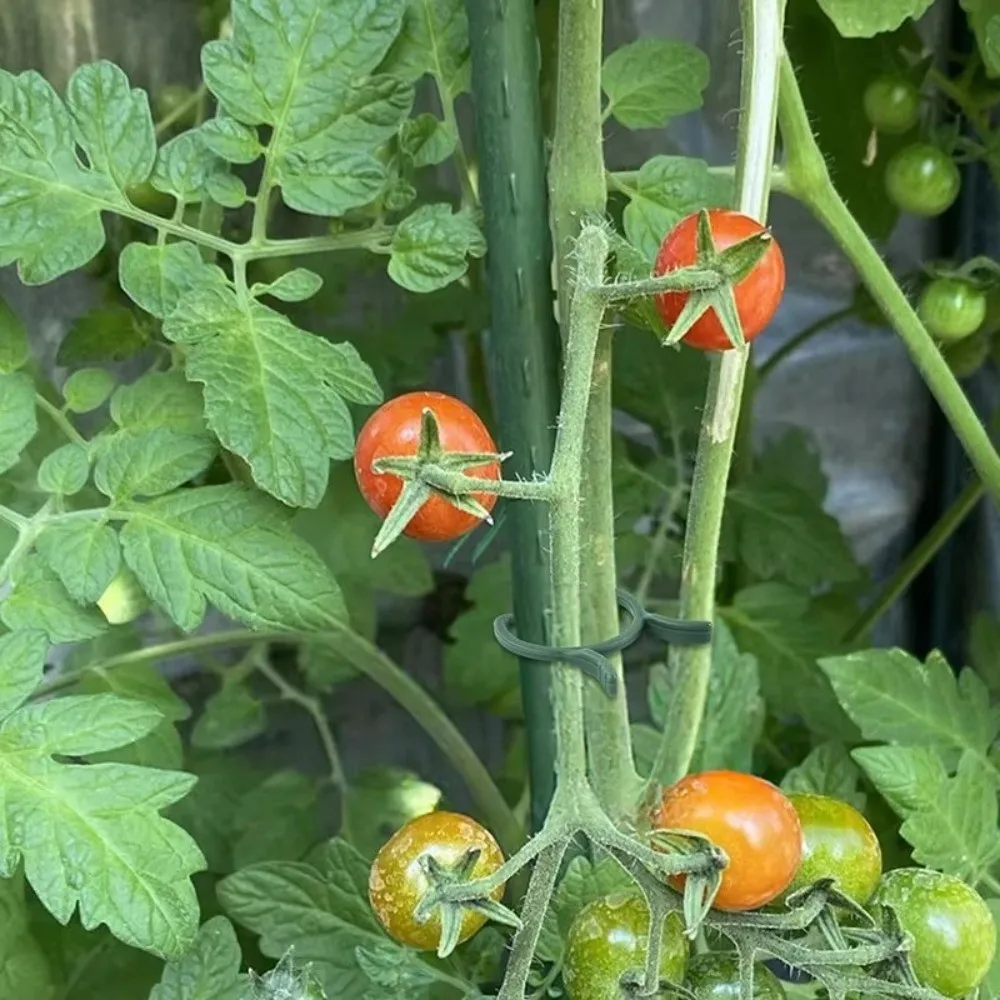 

100PCS Green Garden Plant Clips Plastic Ring Vine Holder Vertical Plant Holder Bundle Garden Holder For Vegetable Growing