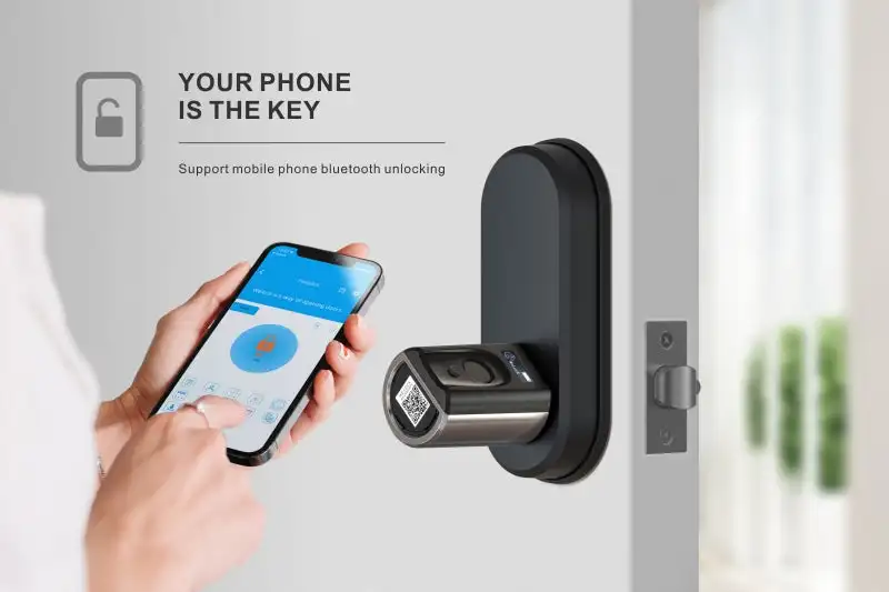 Sicurezza esterna impermeabile Impronta digitale biometrica Smart Lock Card Key Door Lock Controllo accessi app per smartphone Tuya
