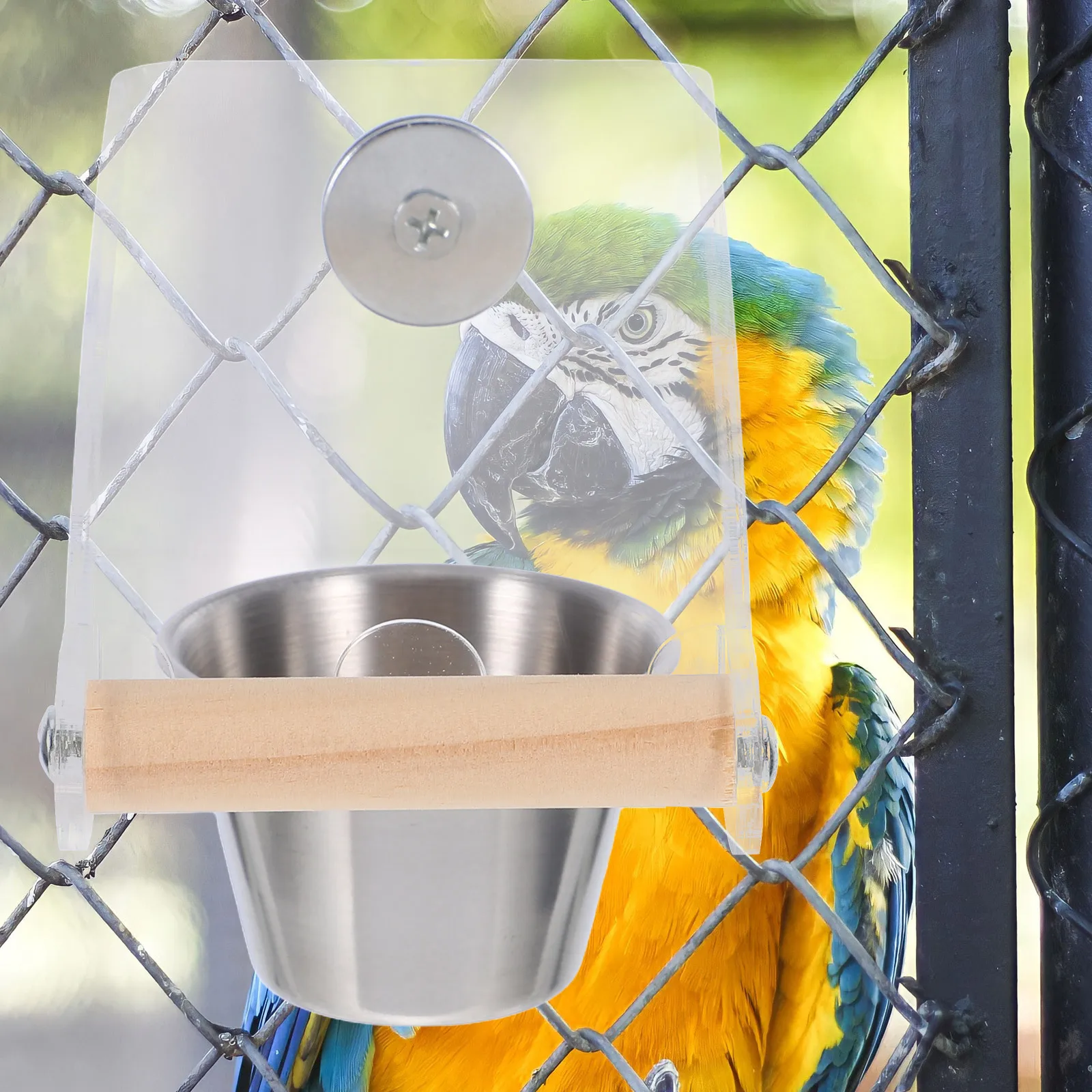 

Automatic Bird Feeder No-Spill Transparent Food Container Splash Proof Parrot Feeder Pet Cage Accessories Bird Feeding Dish Cups