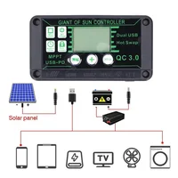 Controlador MPPT de carga Solar 100A 80A 60A 30A 10A, regulador de carga de Panel Solar de 12V/24V/50V con USB Dual con pantalla automática