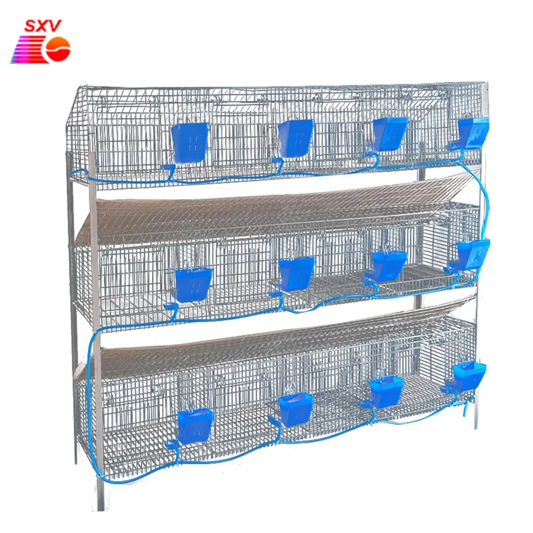 

Rabbit farm equipment mother and baby rabbit cage commercial rabbit cage with stand in Malaysia Philippines