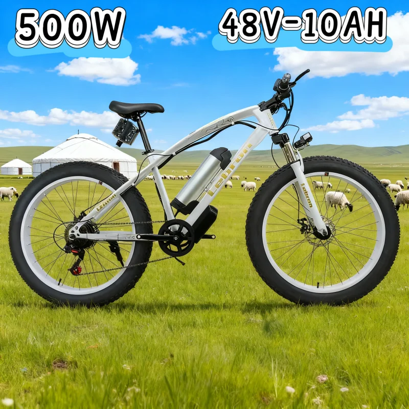 

New electric bicycle, equipped with 500W motor, 48V 10AH battery, trendy, durable, leisure and entertainment adult electric bike