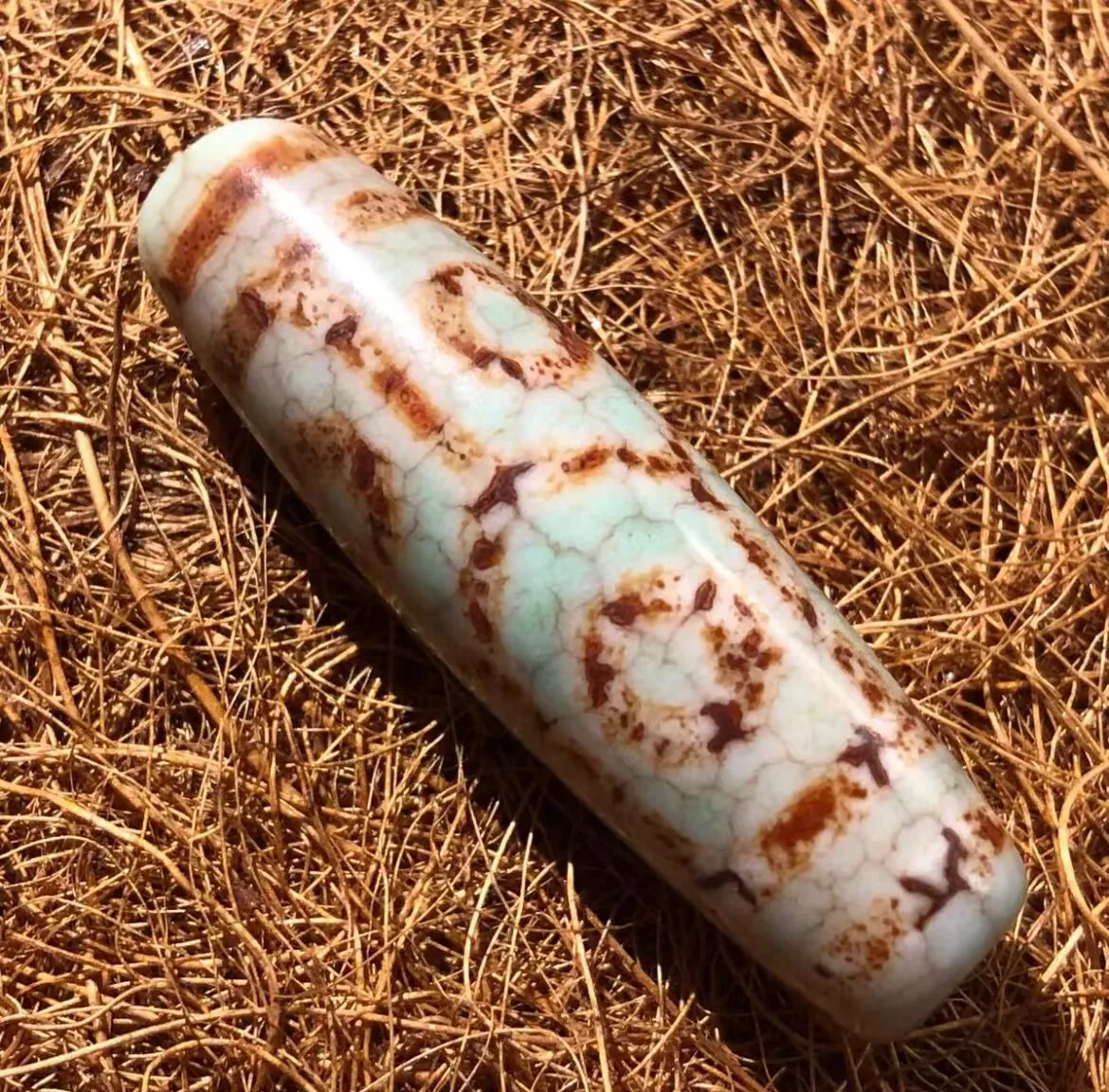 קסם tibetan ישן פגז 6 עיניים טוטם dzi חרוז 13.2 x43.8mmmmb019