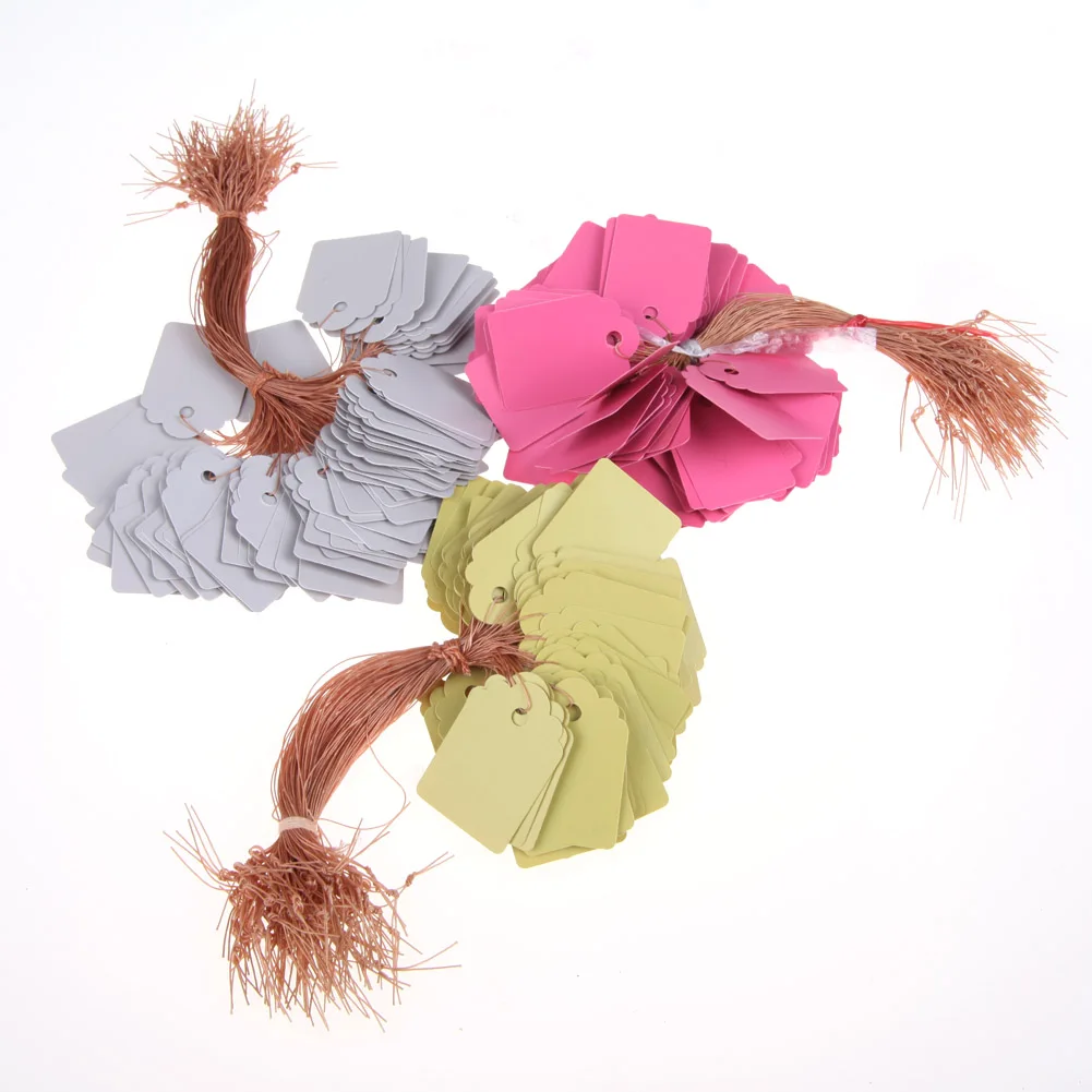 100pcs Garden Plant Labels PVC Plant Tags Nursery Garden Labels Hanging Plant Markers for Plants Garden