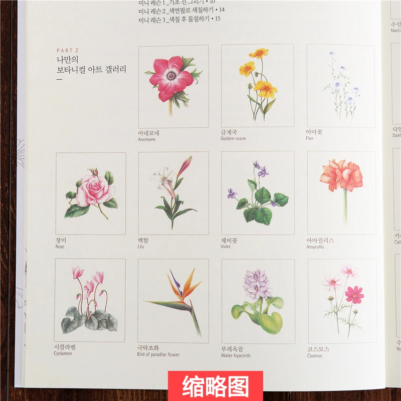 72 Pages 27*22cm Korean Four Seasons Flower Coloring Book Adult Decompression Graffiti Painting Line Art Draft