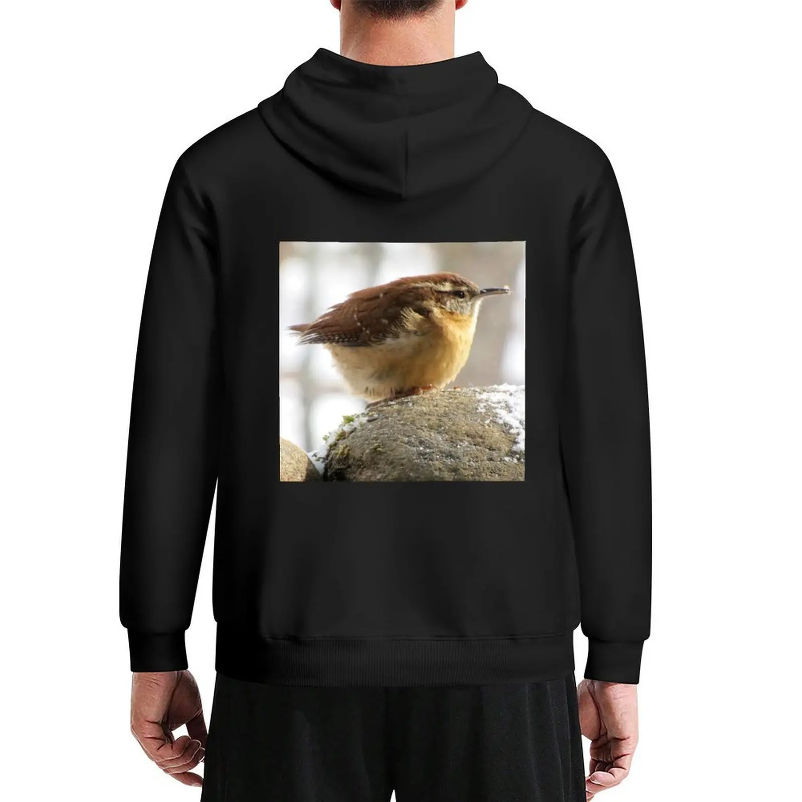 

Carolina Wren on coldest day since 1917 Hoodie graphic t shirts men korean clothes male clothes hoodie