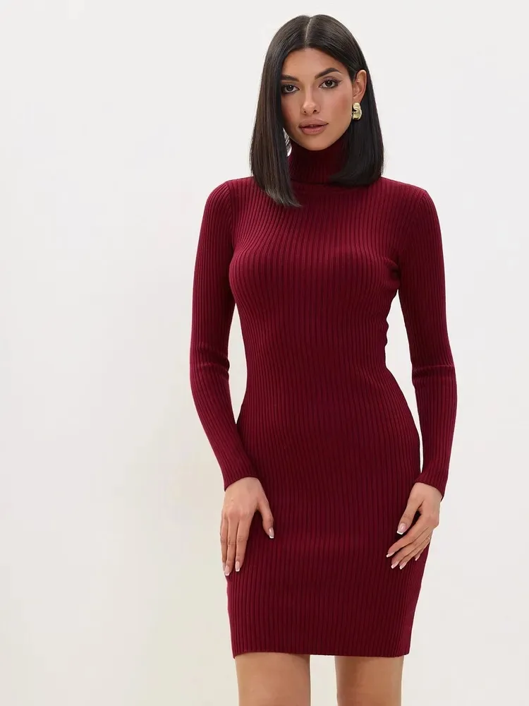 Women's Fashion Winter Turtleneck Slim Sweater Dress Women's Knitted Noodle Sexy Outfit Sweater Dress