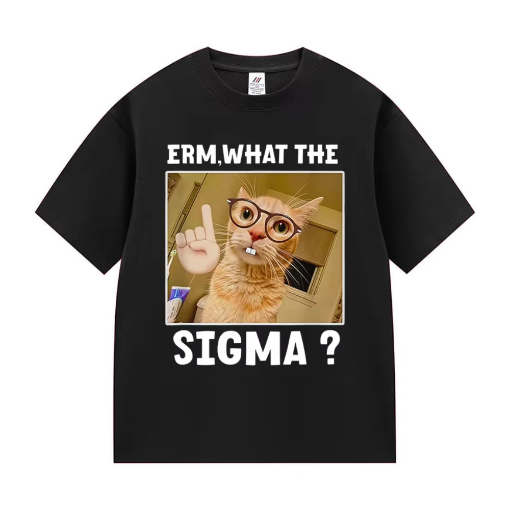 ¿¿ Qué Sigma? Camis… - image