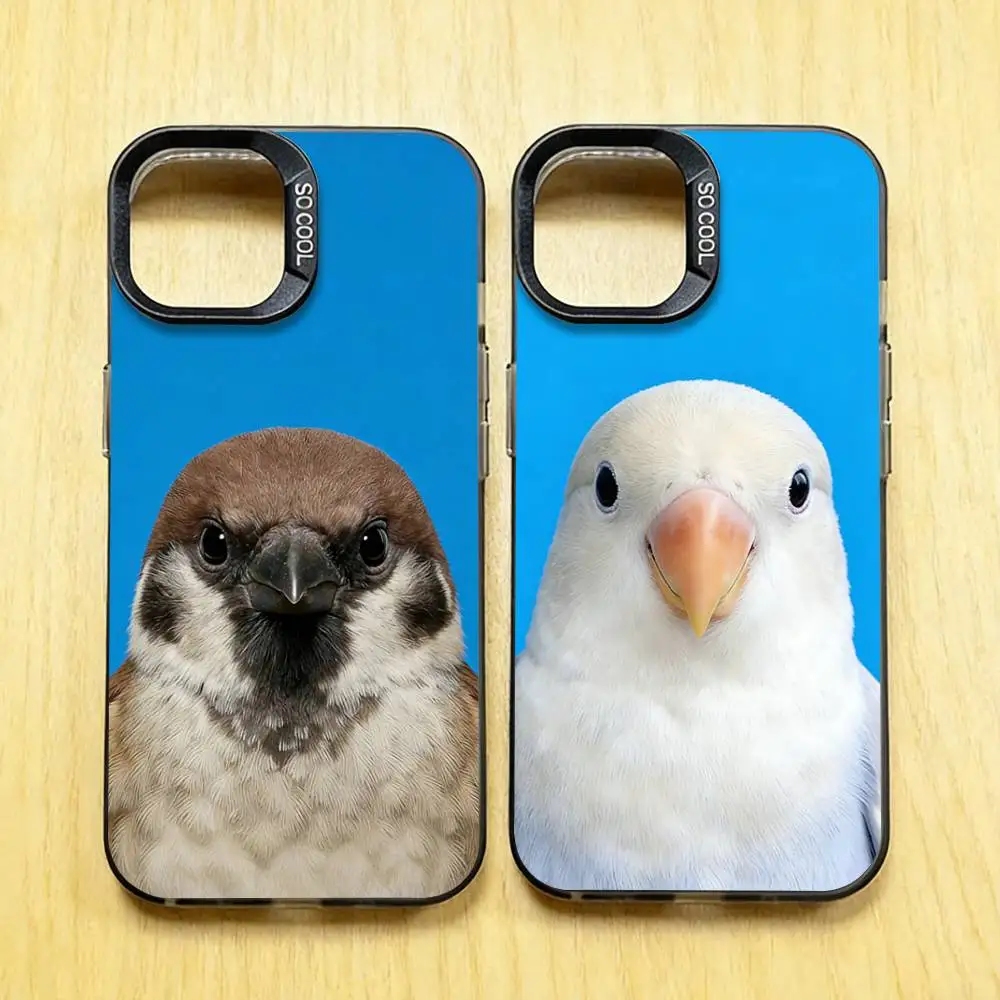 

Funny Bird Photography Phone Case for iPhone 17 16 15 Pro Plus 14 13 Max Mini 12 11 X XS Air TPU Bumper