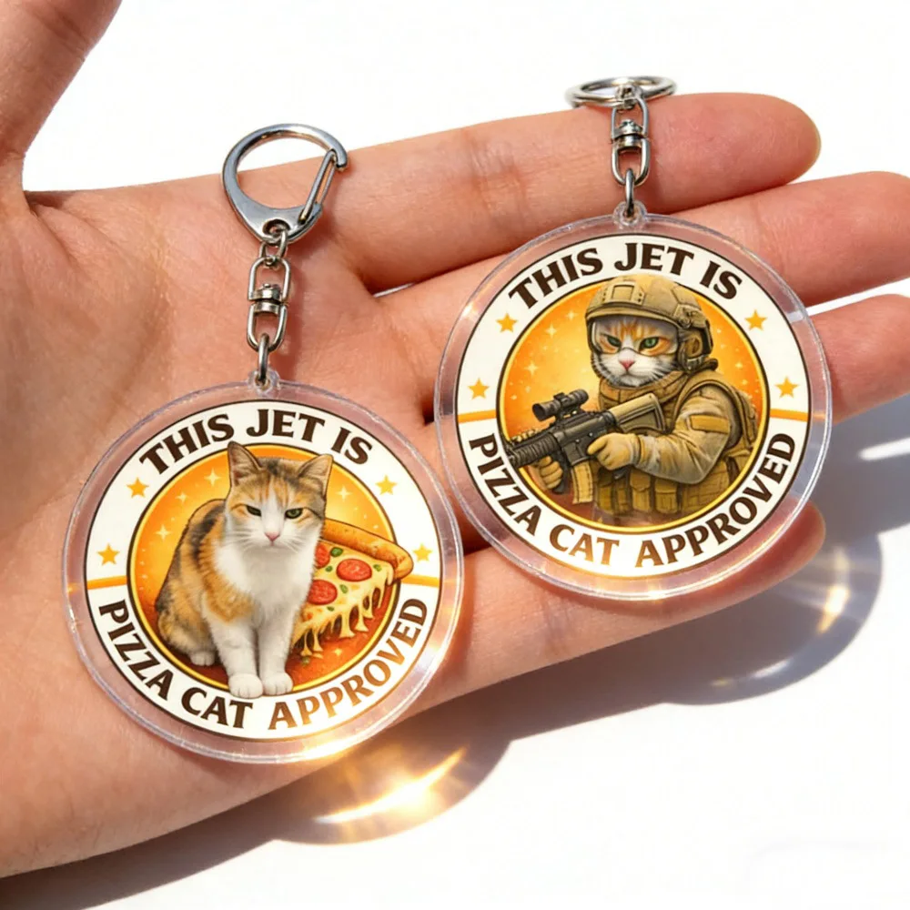 Pizza Cat Aviation Keychain Accessories Bag Charms Girls Keyrings Acrylic Keychain