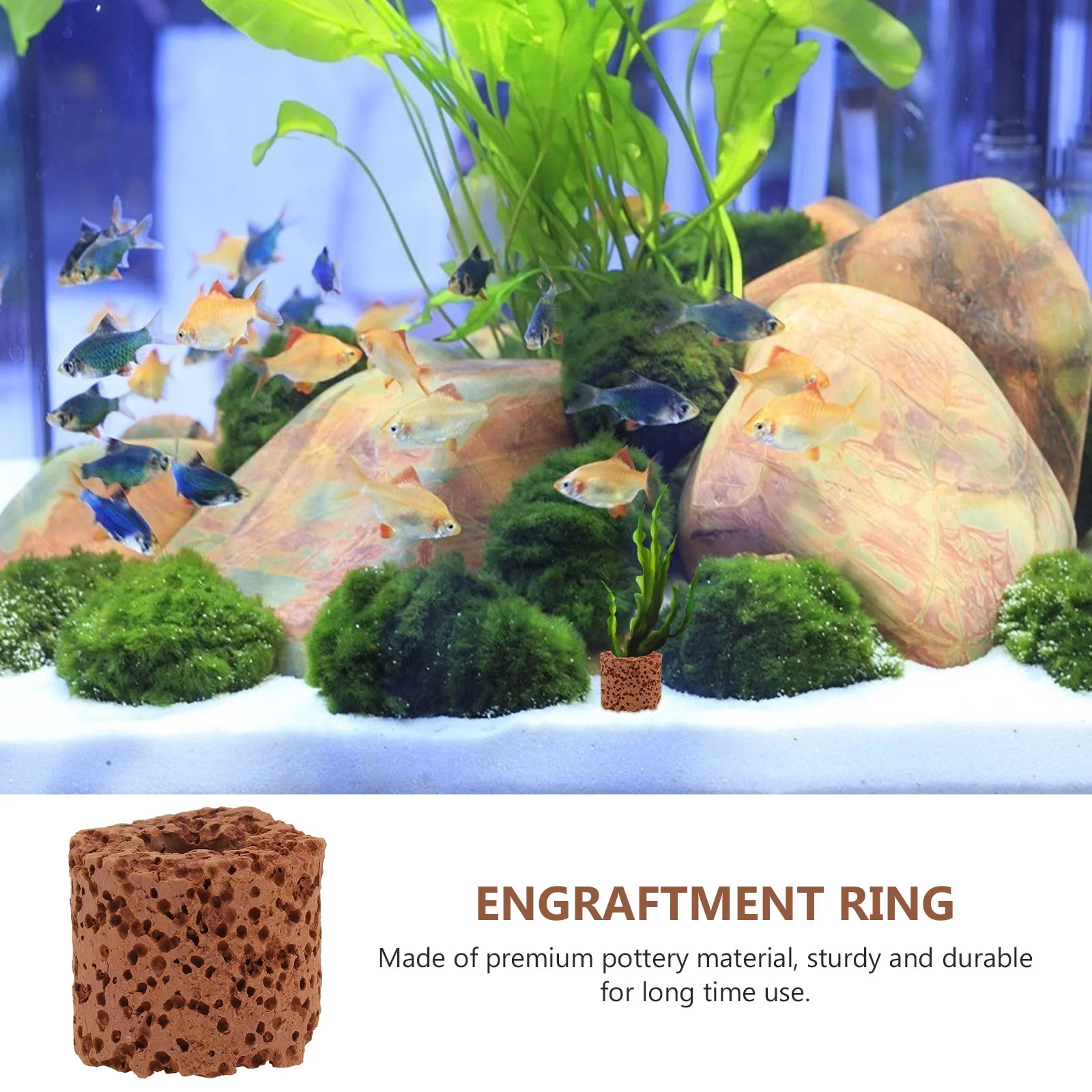 30 Pcs Aquatic Planting Ring Pottery Craft Holder Gravity Decor Fish Tanks Decorate Base Water Fixing Fixed Supply Plants