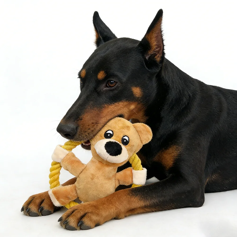 

Squeaky Dog Toys, Dog Chew Toy- Interactive Tough Toy with Rope for Small Medium Breeds, Puppy Toy for Teething Training