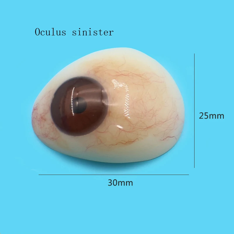 Imported polymer resin prosthesis piece eye atrophy removal wax display ultra-thin customized disabled eyeballs