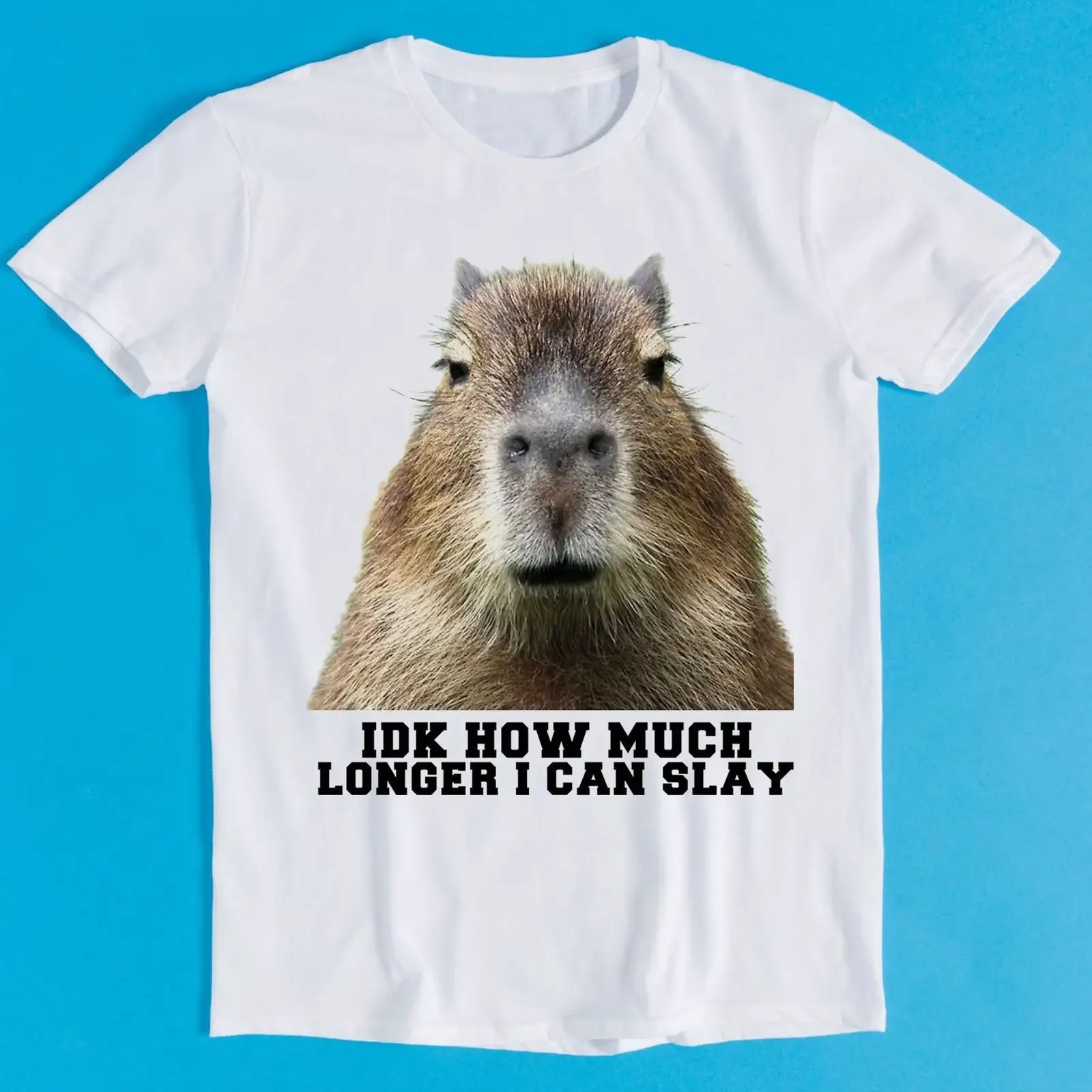 No sé cuánto tiempo más podré matar capibaras, camiseta informal divertida con meme sarcástico, estilo vintage, lavada, transpirable, ligeramente desgastada.