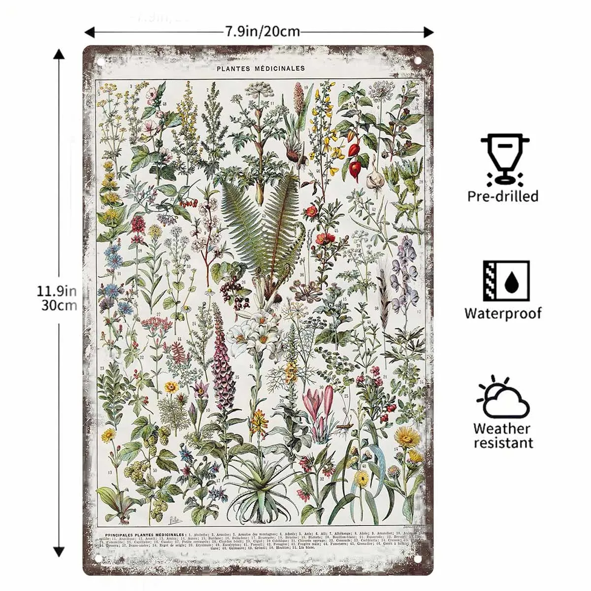 2D FLAT 1pc Vintage Medicinal Plants Botanical Wall Poster Decoration for Home Office Living Room Bedroom Classroom And Study
