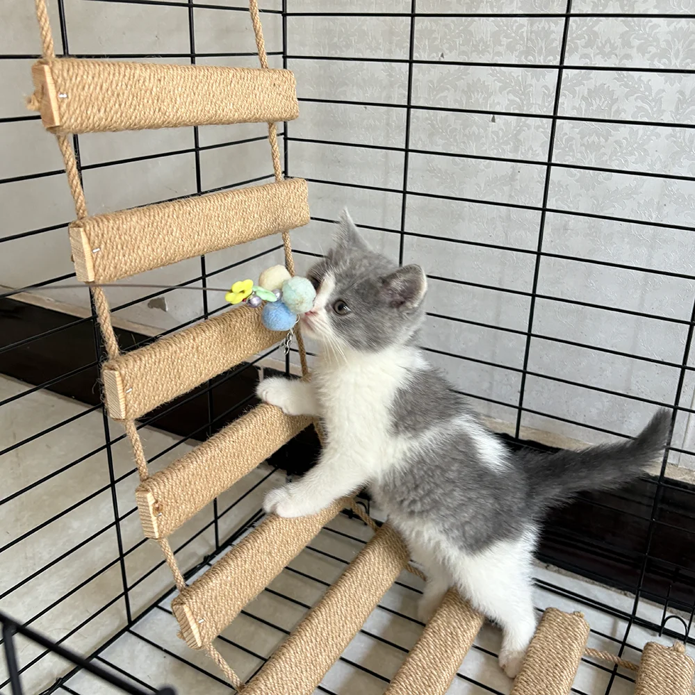 

Sisal Cat Bridge Ladder Multifunctional Cat Climbing Frame and Furniture Wooden Cat Climbing Ladder Suitable for Cats to Play
