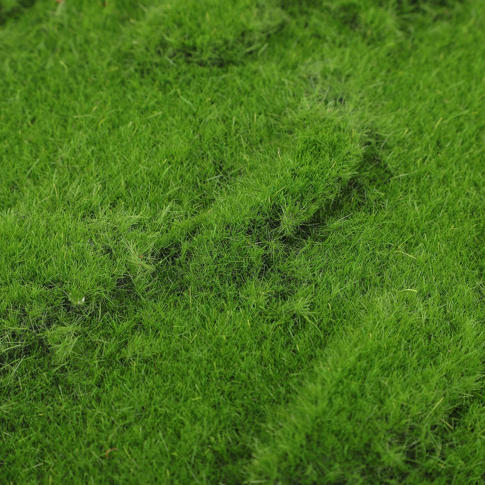 

Artificial Moss Micro Landscape Turf For Garden Bonsai Decor Fake Grass Mini Garden Accessory Lawn Ornament Realistic
