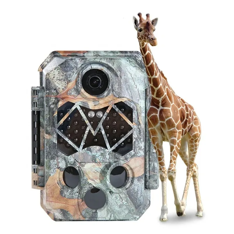 Outdoor Wireless Shooting PH770 Wildlife Trail Camera Night Vision Mini Trail Hunting Camera