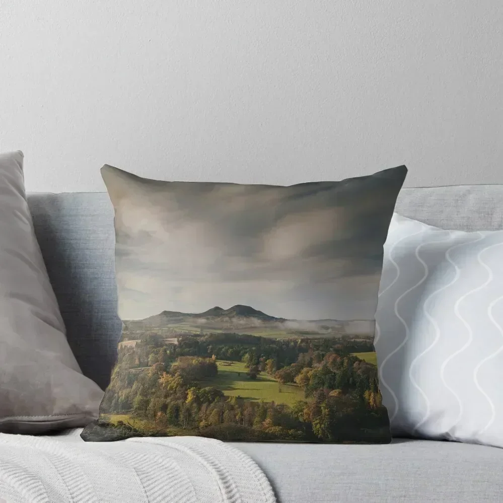 

Scott's View Throw Pillow luxury covers Decorative Sofa Cushions Couch Cushions Custom Cushion Photo pillow