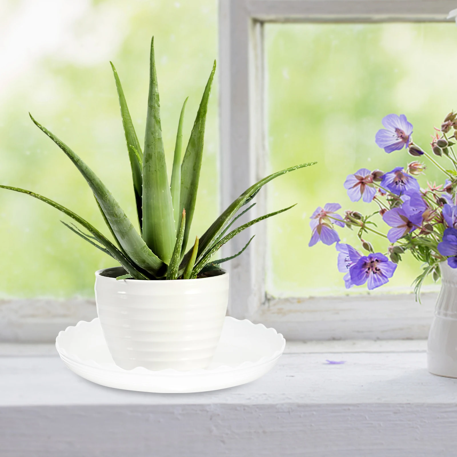 

12pcs Flower Pot Saucers Durable Plastic Trays for Indoor Balcony Water Holding Plastic Flower Container Base Plant Container