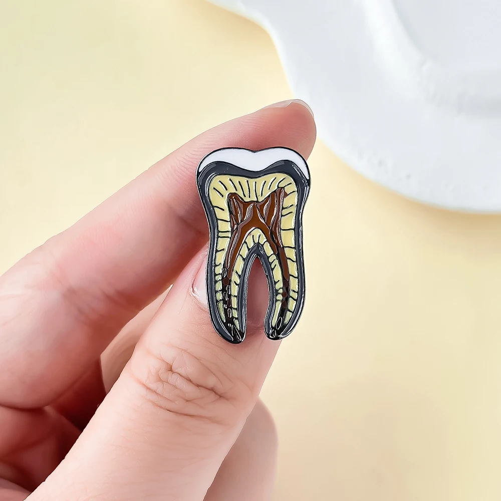 Dental Model Anatomy Brooch Fashion Enamel Needle Dental Dentist for Doctors and Nurses Creative Jewelry Accessories Gift