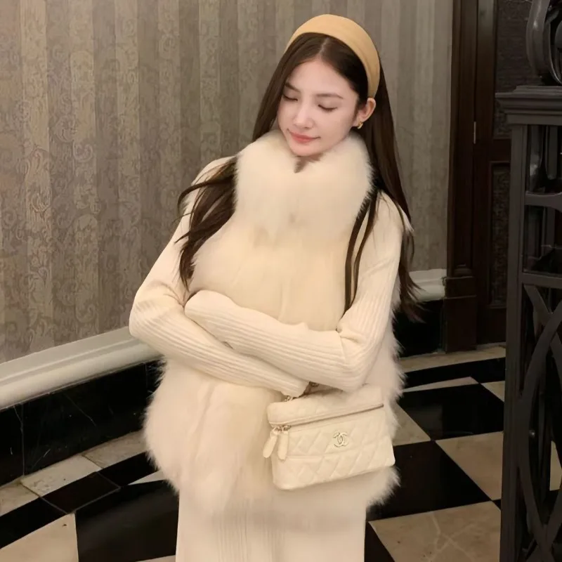 Hairy Coat Temperament Gold fox Top 2026 Autumn and Winter New Style Loose and High-end Vest Short Style Thick and Warm fur Vest