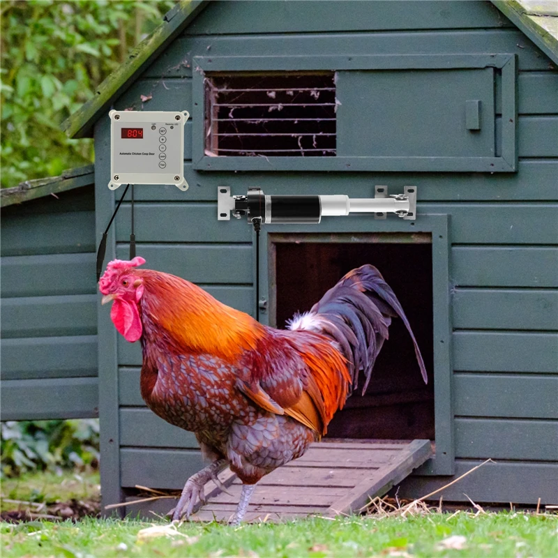 Automatic Chicken Coop Door Opener with Light Sensor + Timing Switch + 2 Remote Controls Farm Pet Dogs Door Opener Controller