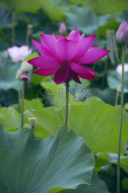 

RC LED Light Kits for 1/18 1/12 1/10 1/8 1/5 Trxs HSP SCX10 D90 HPI Redcat