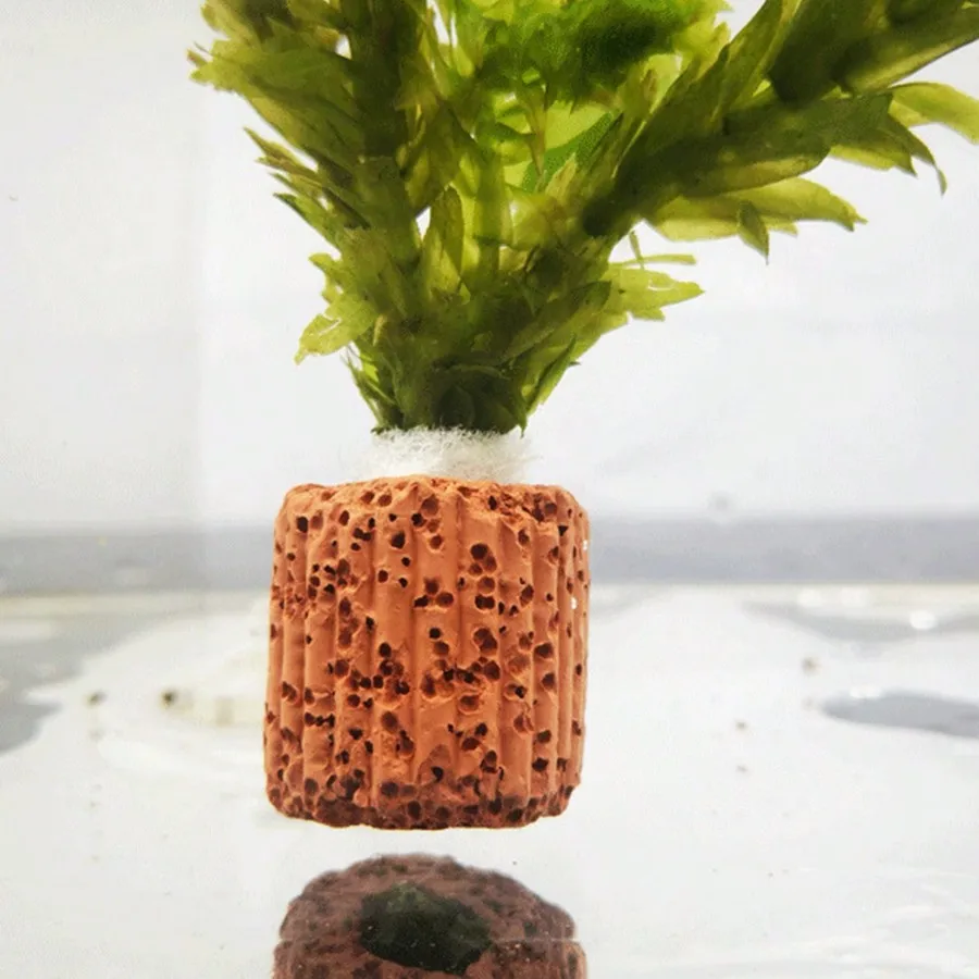 حلقات تثبيت نباتات حوض السمك عالية الجودة - حلقات التنفس للنباتات المائية تضمن الاستقرار والصحة في المناظر المائية