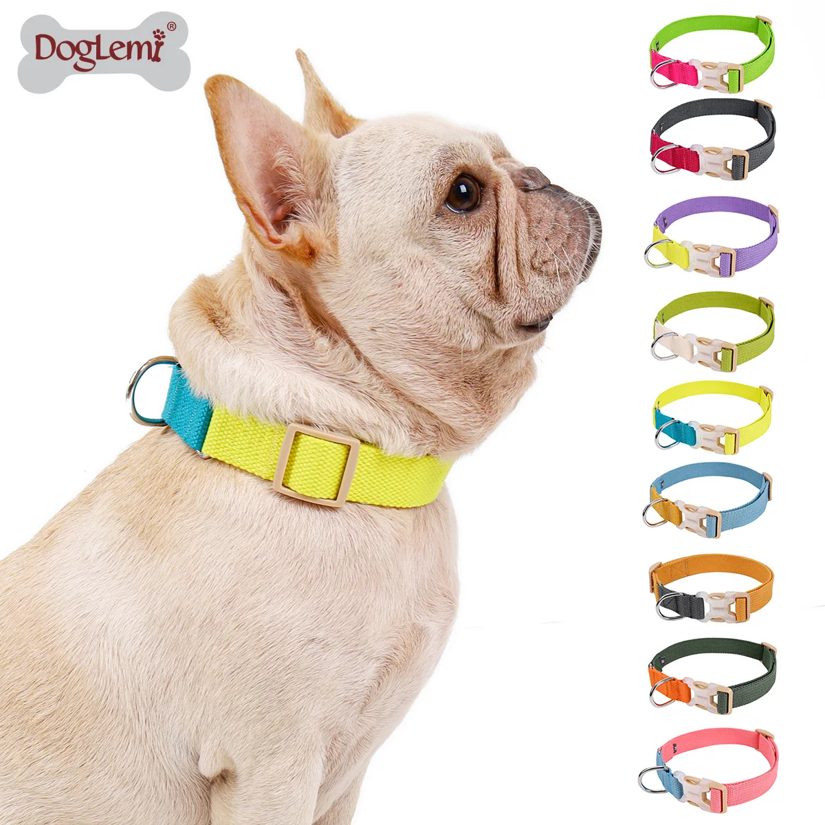 Luxury Custom Polyester Dog Collar Ombre Color Designer Print with Rivet Decoration Walk Your Pet in Style
