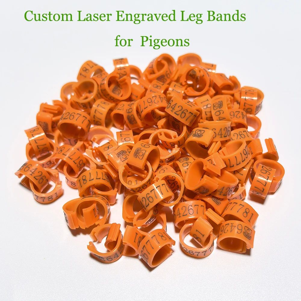 Anneaux de Pigeon de qualité professionnelle 8MM, 100 pièces, bandes de jambes gravées au Laser personnalisées pour Pigeons et pommes de course, anneaux de pied