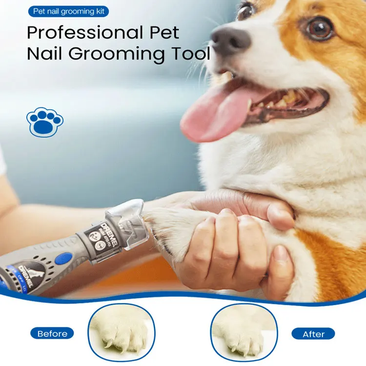 Dremel Electric Dog Nail Grinder 7020-Pgk Pet Nail File Care Set with 4 Sanding Discs Alternative Nail Clippers and Trimmers