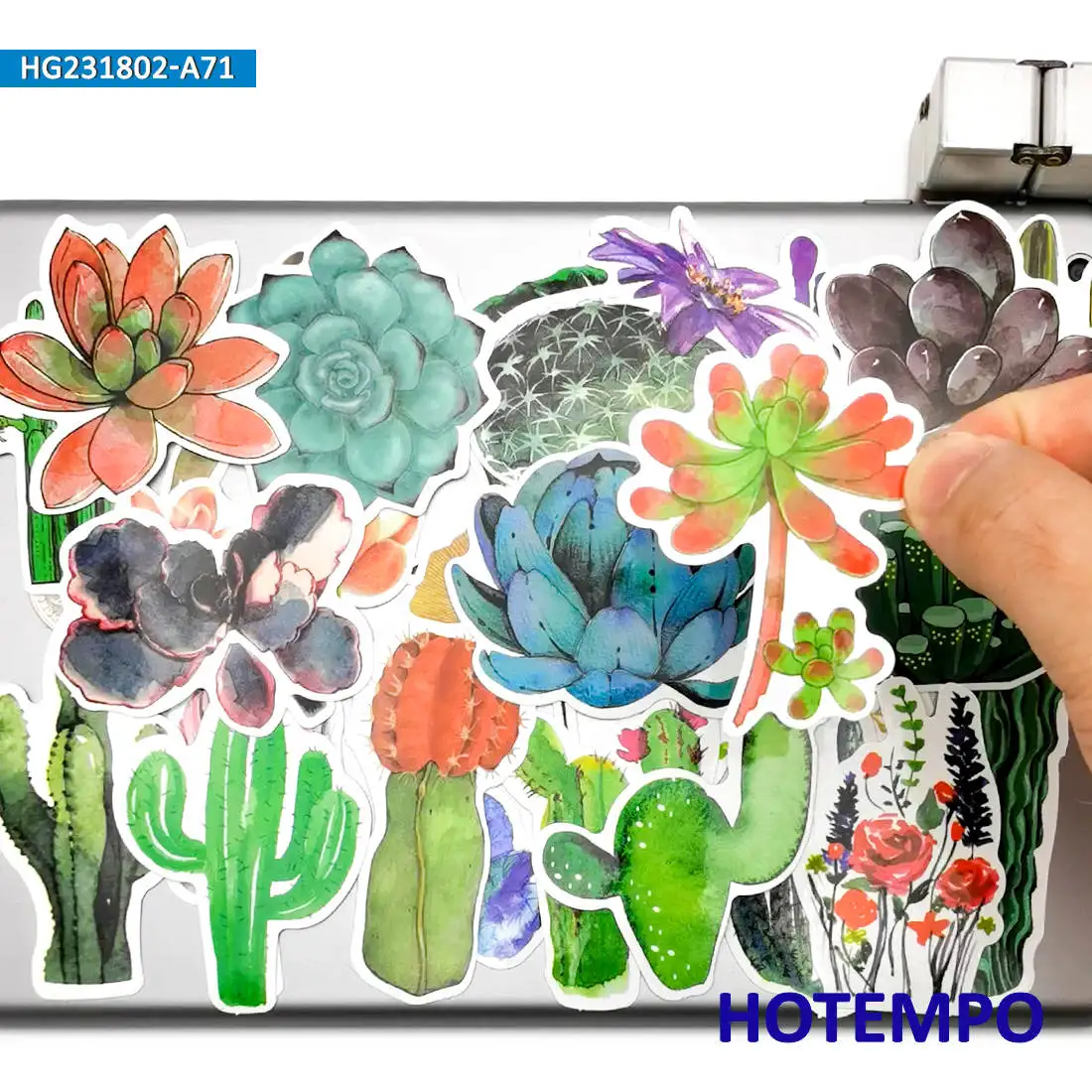 20/30/50/70Pieces Succulent Potted Colorful Graffiti Cute Plant Stickers for Kid Scrapbook Luggage Bike Car Phone Laptop Sticker