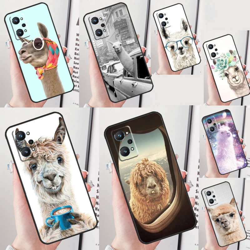 Lama Llama Alpaca C…