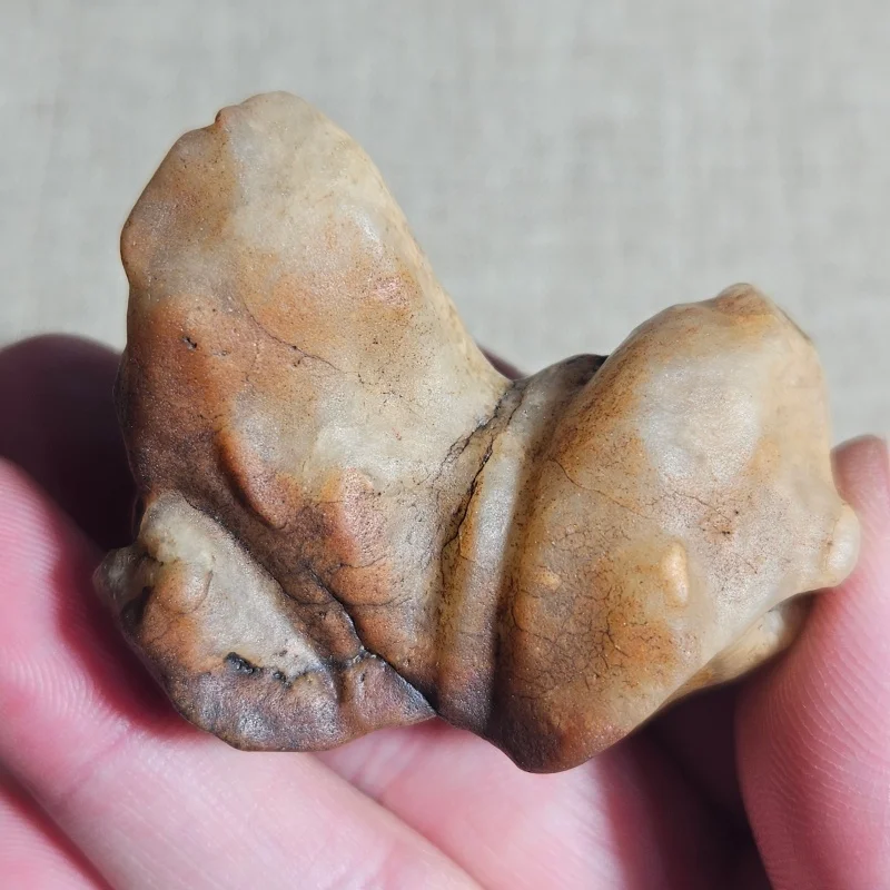 Natural Gobi Agate Figurine Stone Cute Dog Shape Raw Mineral Specimen Reiki Healing Crystal Home Decor Ornament Collection Gift
