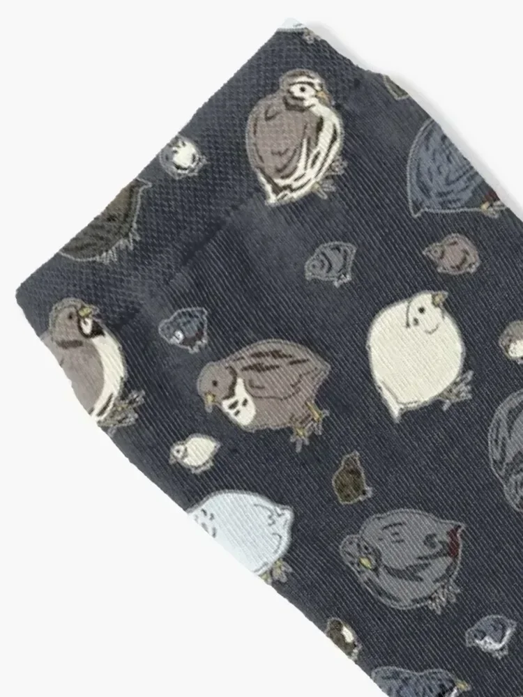 Button Quail Pattern Socks man with print colored sports stockings Socks For Women Men's