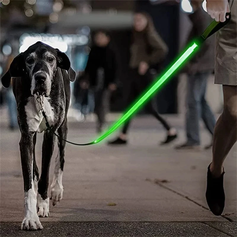 Led Haustier Hund Leine Seil Mit Licht Leuchtende Leine USB Lade für Hund Sicherheit Blinkende Leuchtende Kragen Harness Zubehör – Detail 11