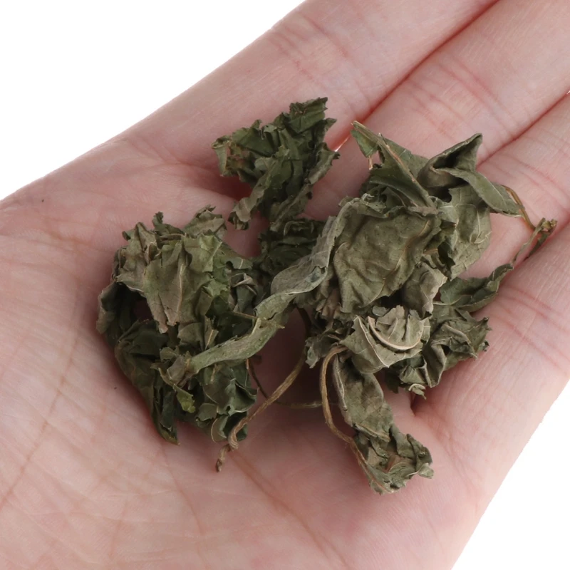 for Cat Treats Dried Polygonum Leaves Natural Dental Care Catnip Selected for Fresh Polygonum Leaves Natural for Cat Sna