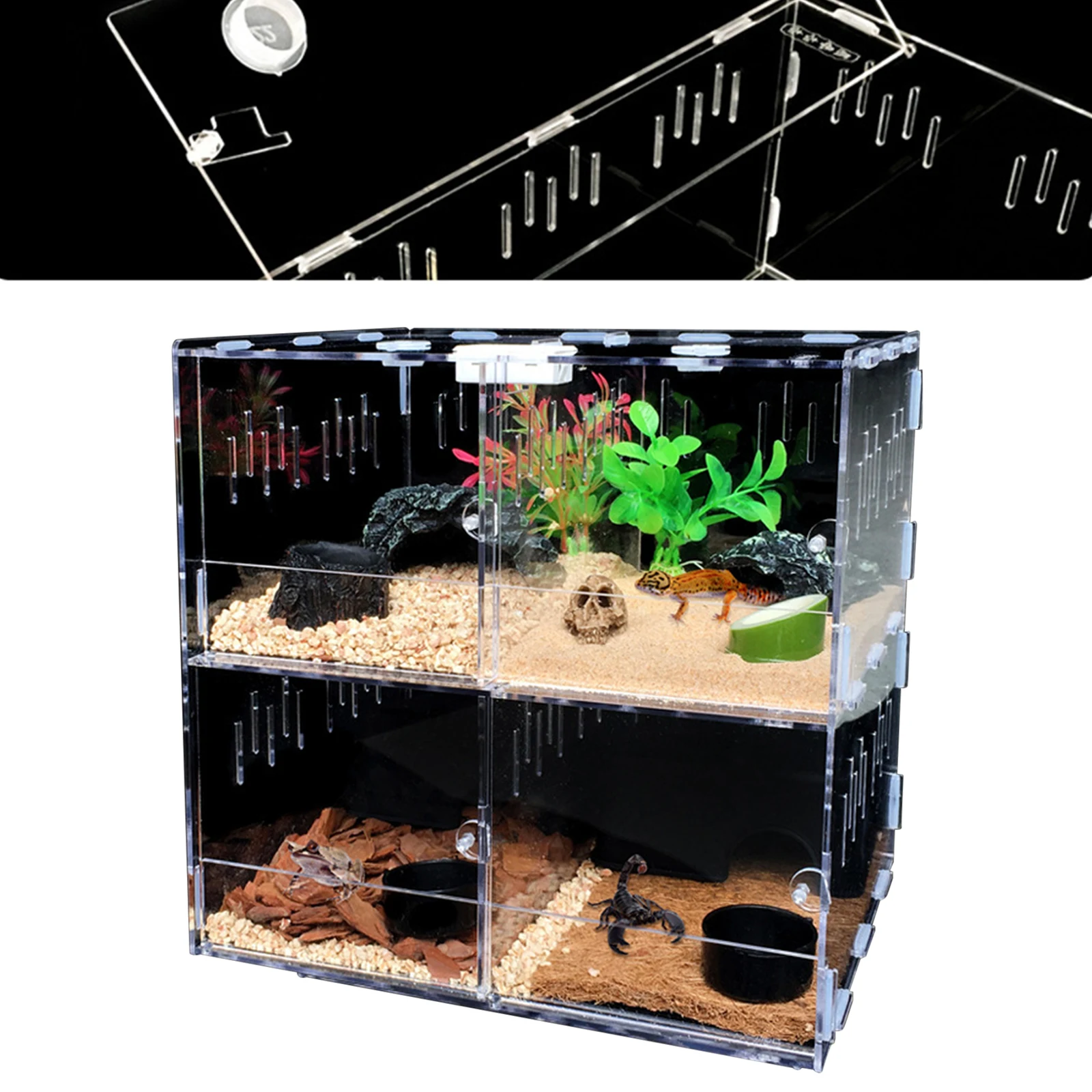 4 Grids Acrylic Pet Lizard Crawling Box Reptile Tank Insect Spiders Lizard Breeding