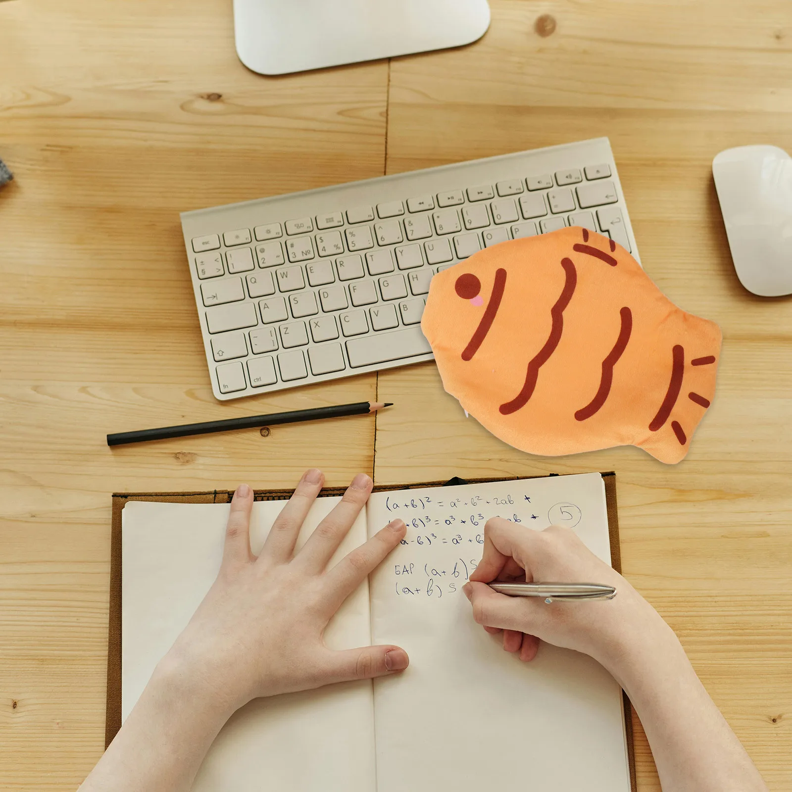 

Cartoon Pencil Case Large Capacity Multifunctional Portable Zipper Pen Storage Bag Solid Color Pen Pouch Stationery Organizer