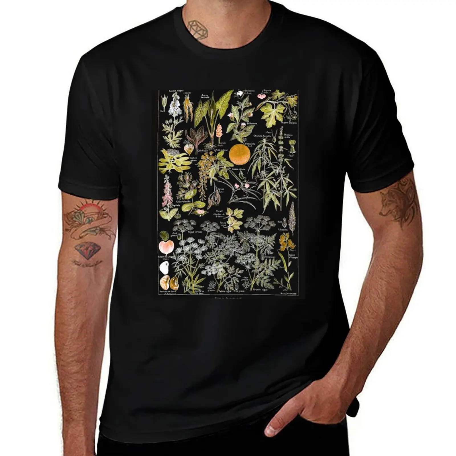 Adolphe Millot - Plantes dangereuses B (dangerous plants B) T-Shirt Plus Size Loose Short Sleeve Top T-Shirt