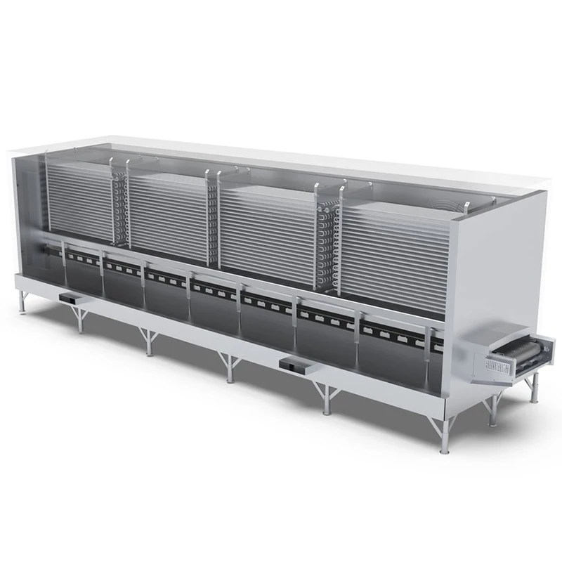 FL Quick Freezing Machine Automatic Tunnel Quick Freezer For Vegetable Fruit Frozen Food Production Workshop
