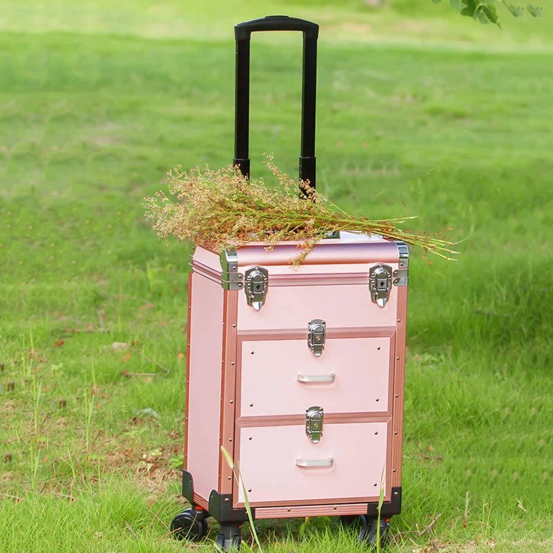 Mode Roze Trolley Cosmetische Rolling Bagage Vrouwen Mannen Luxe Zwarte Nagels Make Toolbox Beauty Tattoo Trolley Koffer