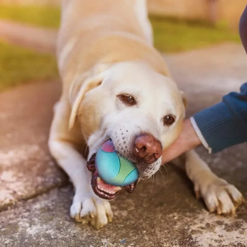 

Pet Bite Resistant Elastic Ball for Dogs To Relieve Boredom Grind Their Teeth Chew Enjoy Playing with Dog Toys