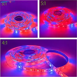 5m 12V LED Grow Light Strip Waterproof Red Blue Phyto Lamp 300LEDs 5050 Chip Growth Lights Fitolamp For Indoor Flower Plant Lamp