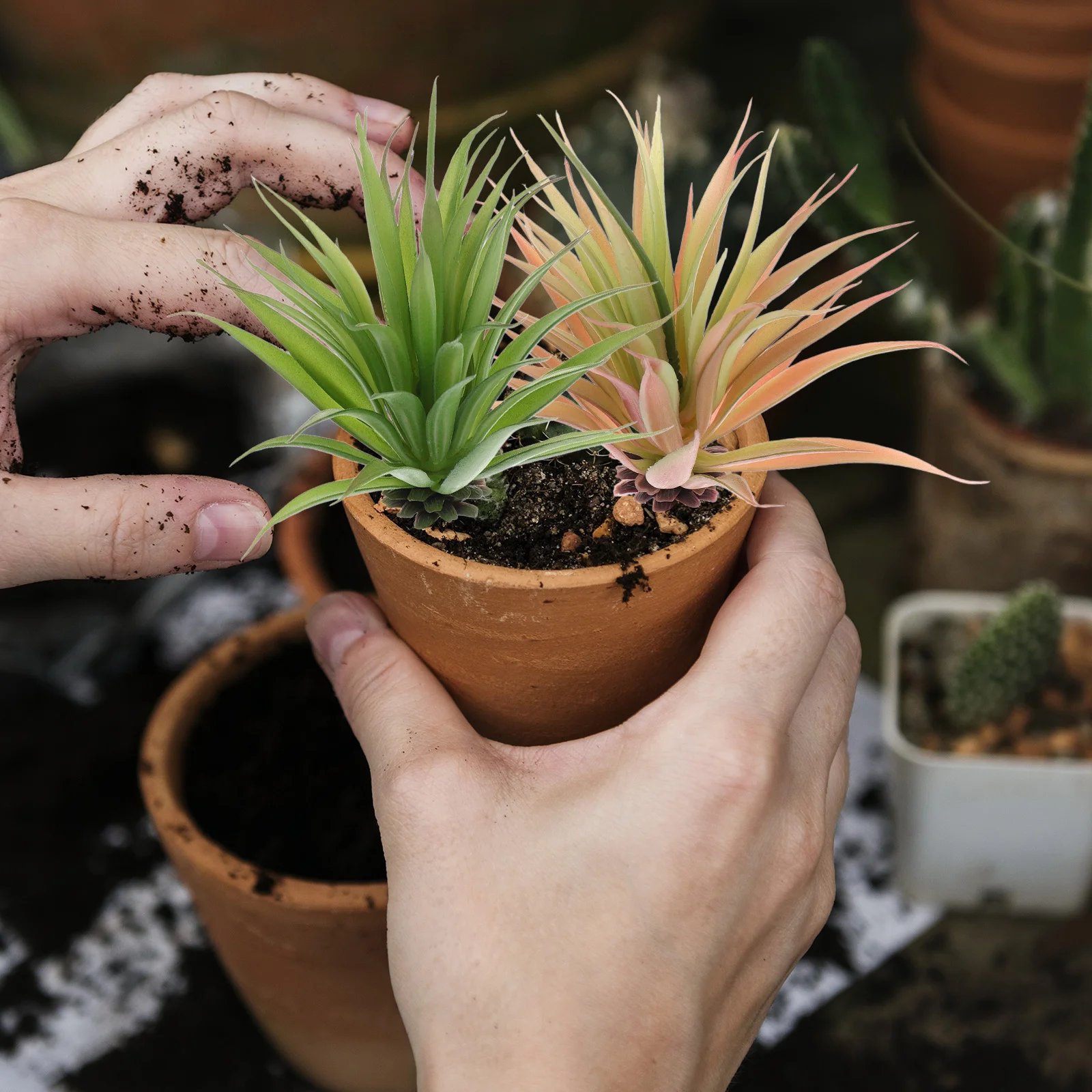 

2Pcs Artificial Succulent Plants Fake Succulent Faux Plants Decorative Ornaments for Home Office Desktop Indoor Artificial Plant