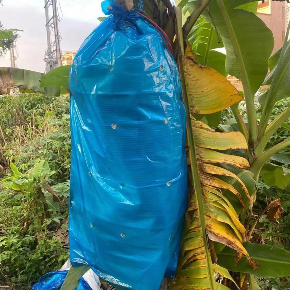 4Pcs Banana Protective Bags Cotton Ripening Cover Rainproof Fruit Growing Bag Set Garden Banana Covers for Freshness