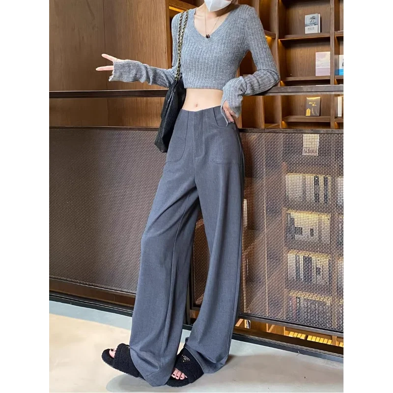Celana Setelan Abu-abu Wanita Pinggang Tinggi Musim Semi Musim Panas Baru Kasual Kaki Lebar Terkulai Kerja Lurus Malas