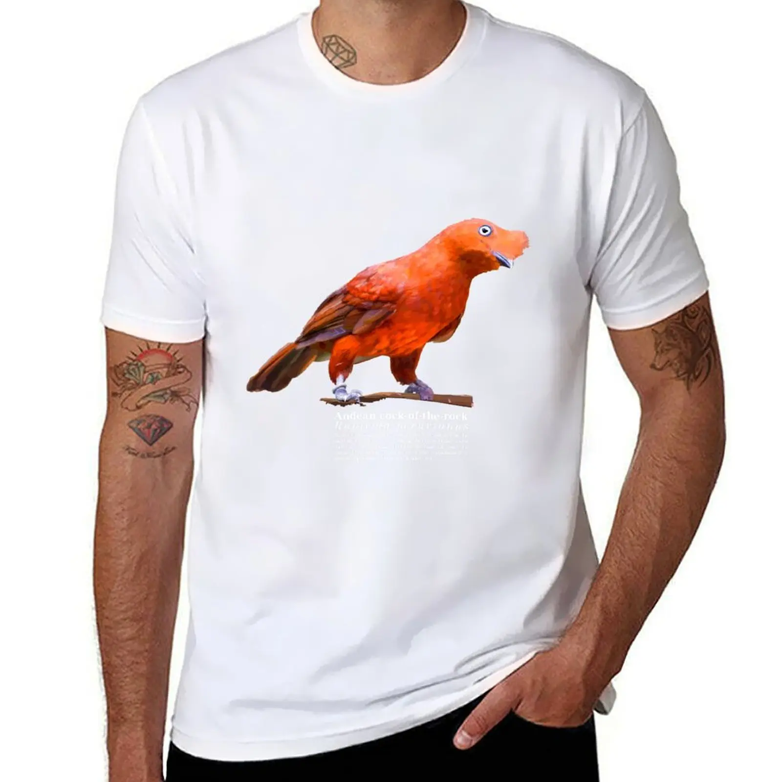 

Andean cock-of-the-rock bird on the rocks T-Shirt anime tshirt men t shirt cotton 100% T-Shirt
